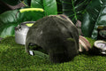 Vulpera Urban Jungle Tiger Heritage Trucker Cap | Retro Car Snapback Cap