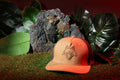 Vulpera Desert Stealth Premium Trucker Cap | 3D Fox Embroidery | Desert Tan & Camo Mesh | Heavy Cotton Twill Snapback